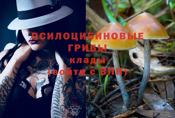 шишки Алзамай