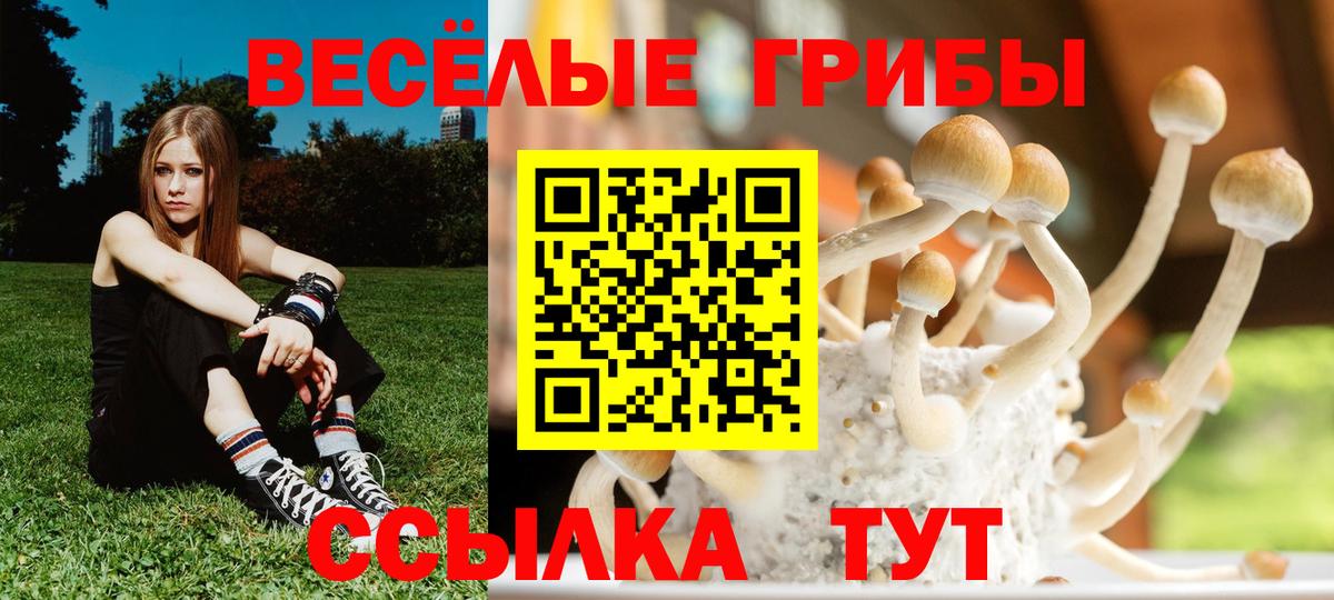 Уфа  Галлюциногенные грибы MAGIC MUSHROOMS  что такое   Вход с VPN 