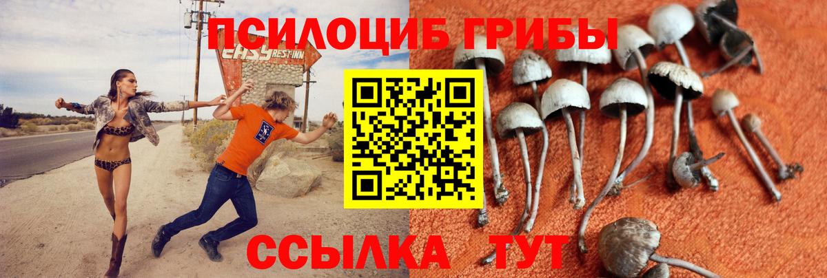 Псилоцибиновые грибы прущие грибы Уфа