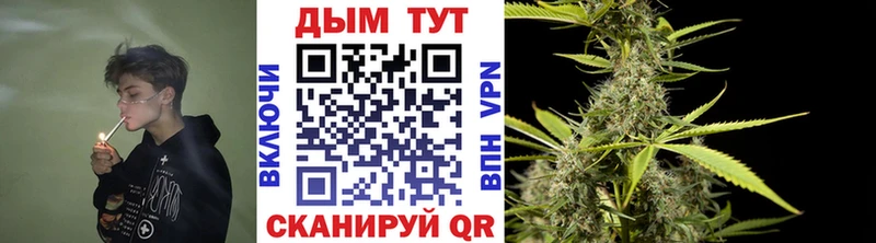 где купить наркоту Уфа Марихуана сатива
